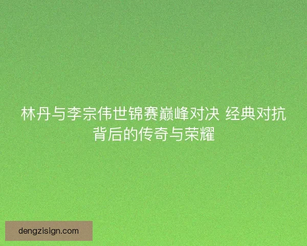 林丹与李宗伟世锦赛巅峰对决 经典对抗背后的传奇与荣耀
